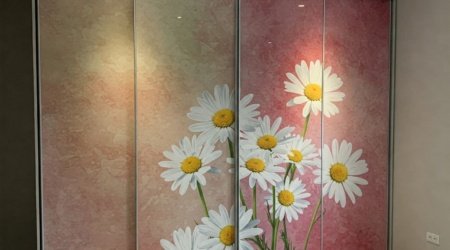 шкаф купе с изображением ромашки