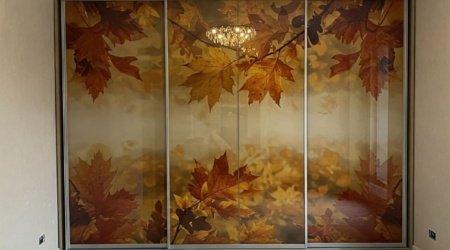 шкаф-купе с фотопечатью летняя природа